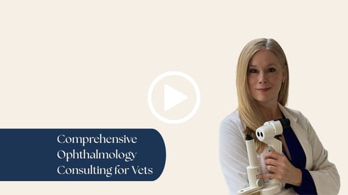 Comprehensive Ophthalmology Consulting for Vets ply button